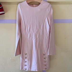 Chloe Elegant Pink Long Sleeve Dress